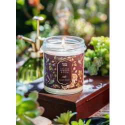 Wosk i Knot Zielona Herbata & Figa świeca sojowa 300ml